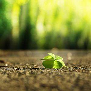 新疆旱厕100例帖拍视频偷窥
